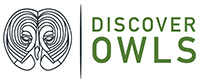 Discover Owls